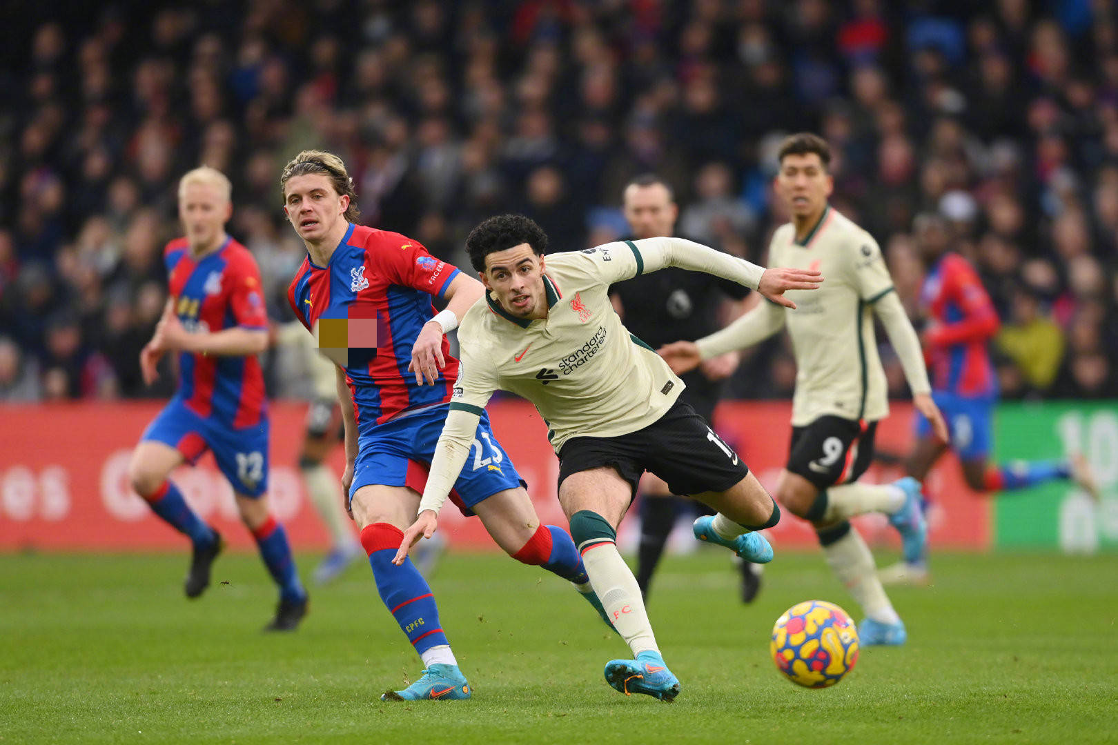 仅是扑救的 仅是扑救的